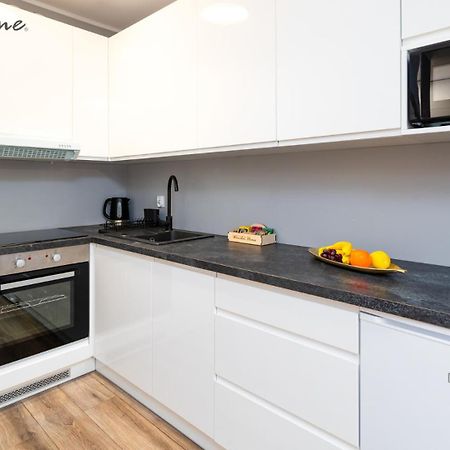 Wonder Home - Apartamenty W Sercu Karpacza, Blisko Deptaka I Terenow Zielonych Exterior foto